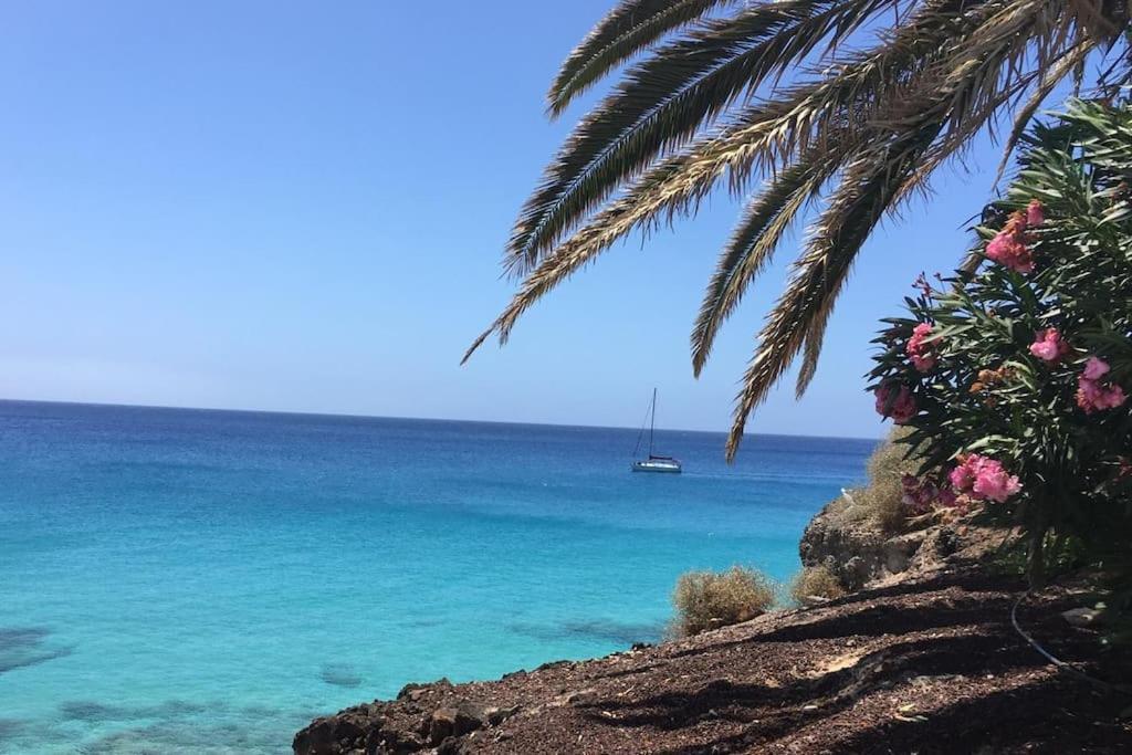 Apartamento Dominguez, Fuerteventura 莫罗德哈布雷 外观 照片
